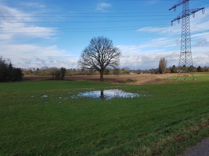 Baum-Wasser-Strommast
